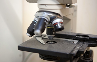 Cherrydown Vets Stanford-le-Hope Gallery Image 3