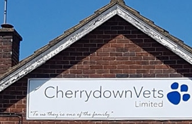 Cherrydown Vets Wickford Gallery Image 1