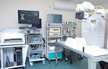 Cherrydown Vets Wickford Gallery Image 3