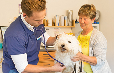 Cinque Ports Rye Gallery Image 3