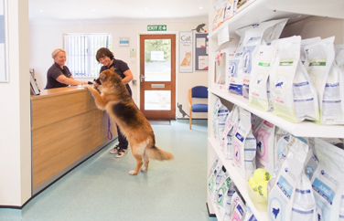 Cinque Ports Tenterden Gallery Image 3