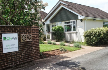 City Vets Alphington Gallery Image 1
