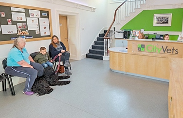 City Vets Heavitree Gallery Image 3