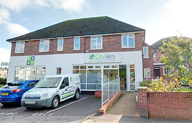 City Vets St Thomas Gallery Image 1