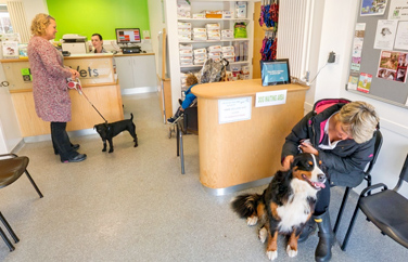 City Vets St Thomas Gallery Image 3