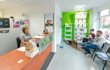 City Vets Whipton Gallery Image 2