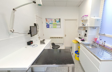 City Vets Whipton Gallery Image 3