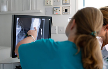 Crofts Veterinary Practice Gallery Image 2