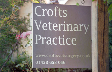 Crofts Veterinary Practice Gallery Image 3