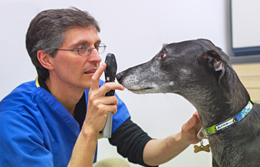 Cromwell Veterinary Group Cambourne Gallery Image 2