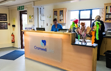 Cromwell Veterinary Group Huntingdon Gallery Image 1