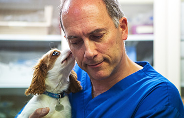 Cromwell Veterinary Group Huntingdon Gallery Image 3