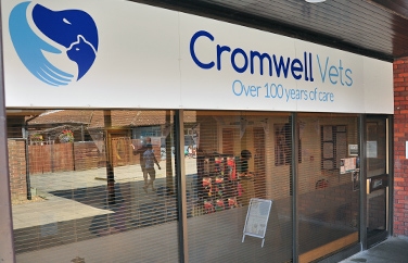 Cromwell Veterinary Group St Ives Gallery Image 1