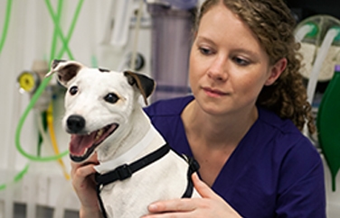 Dick White Referrals Gallery Image 2