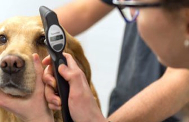 Dick White Referrals Gallery Image 3