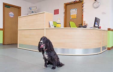 Donnachie & Townley Veterinary Centre Stafford Gallery Image 3