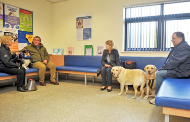 Eastcott Veterinary Clinic and Hospital Crickdale Road Gallery Image 1