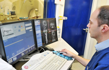 Eastcott Veterinary Referrals Gallery Image 2