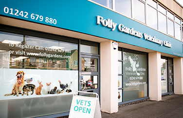 Folly Gardens Veterinary Clinic Cheltenham Gallery Image 2