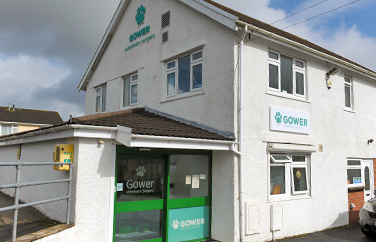 Gower Veterinary Surgery Gallery Image 1