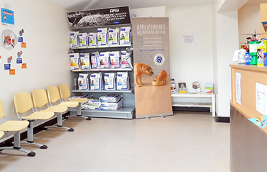 Gower Veterinary Surgery Gallery Image 3