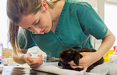 Greenside Veterinary Practice Jedburgh Gallery Image 2