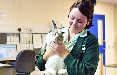 Hawick Veterinary Practice Gallery Image 2