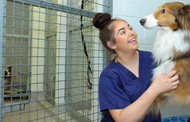 Kentdale Referrals Gallery Image 1