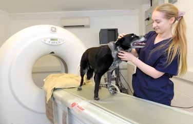 Kentdale Referrals Gallery Image 3