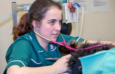 Leadon Vale Veterinary Centre Gallery Image 3