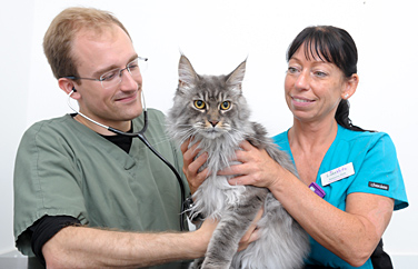 Lida Vets Gallery Image 2