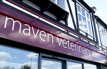 Maven Veterinary Care Gallery Image 1
