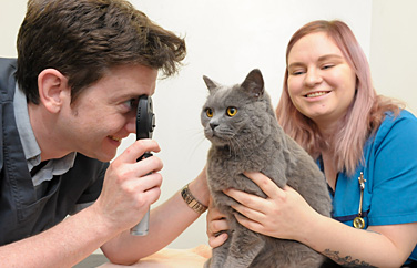 Maven Veterinary Care Gallery Image 2