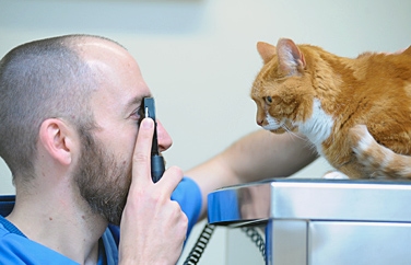 Moor Cottage Veterinary Practice Gallery Image 2