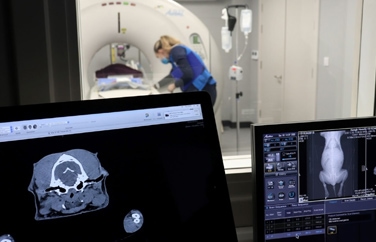 MyVet Lucan Gallery Image 2