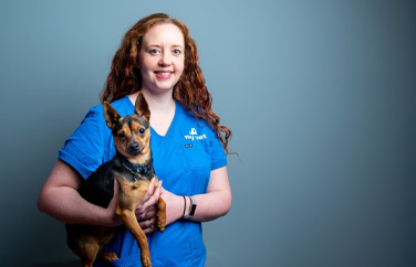 MyVet Maynooth Gallery Image 2