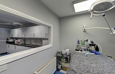 MyVet Maynooth Gallery Image 3