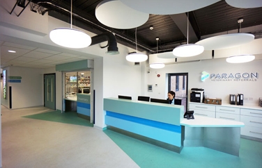 Paragon Veterinary Referrals Gallery Image 3