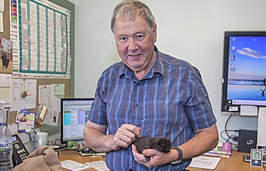 Park Vet Group Whetstone Gallery Image 3