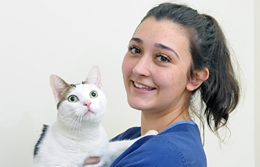 Peak Veterinary Practice Gallery Image 2