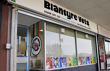 Pets 'n' Vets Blantyre Gallery Image 1