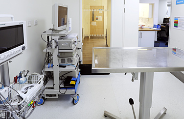 Pets 'n' Vets McDonald Vets QMD Gallery Image 2