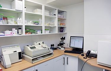 Pets 'n' Vets McDonald Vets Scotstoun Gallery Image 2