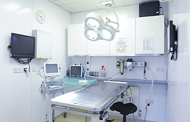 Riversmeet Vets Atherstone Gallery Image 2