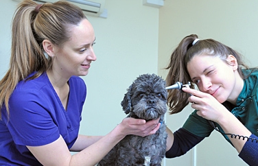 Riversmeet Vets Atherstone Gallery Image 3