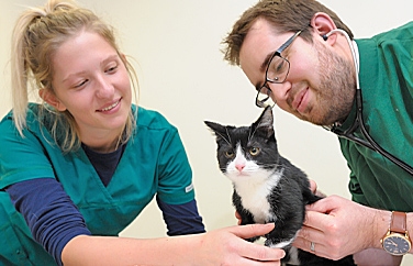 Riversmeet Vets Tamworth Gallery Image 3