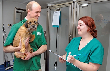 Shires Vets Eaton Park Gallery Image 3