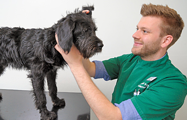 Shires Vets Eccleshall Gallery Image 2