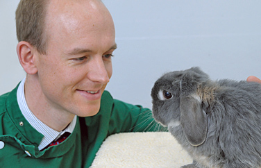 Shires Vets Gnosall Gallery Image 1