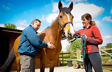 Shires Vets Gnosall Gallery Image 2